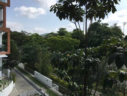Parc Rosewood (D25), Condominium #165247592